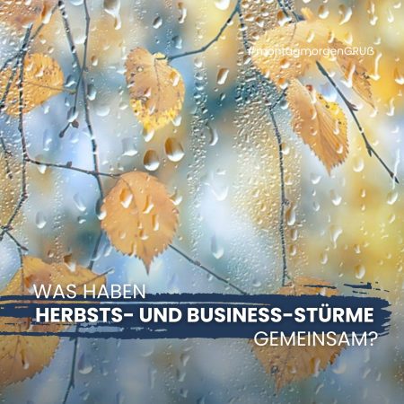 Was haben Herbsts- und Business-Stürme gemeinsam?