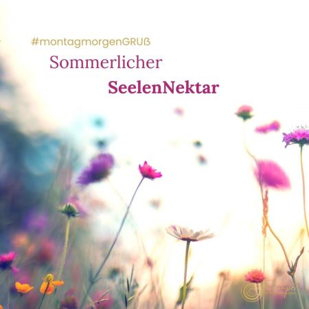 Sommerlicher Seelen Nektar