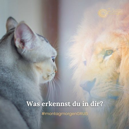 Was erkennst du in dir?