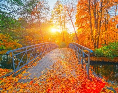 FreiSEIN – UnternehmerSEIN im Rhythmus des Herbstes